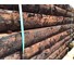 1.8m x 150mm x 100mm Rustic Brown Treated Sleeper image 1