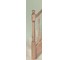 1.5m x Turned newel post (cap not included) image 1