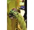 Chrome rope end image 1