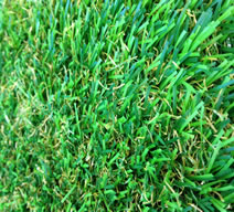 Artificial Grass 